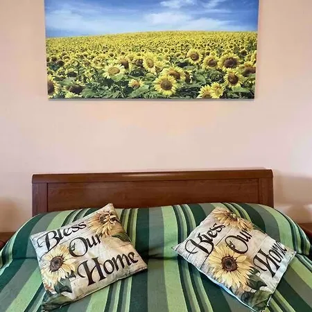 Vicino A Tutto * Vercelli